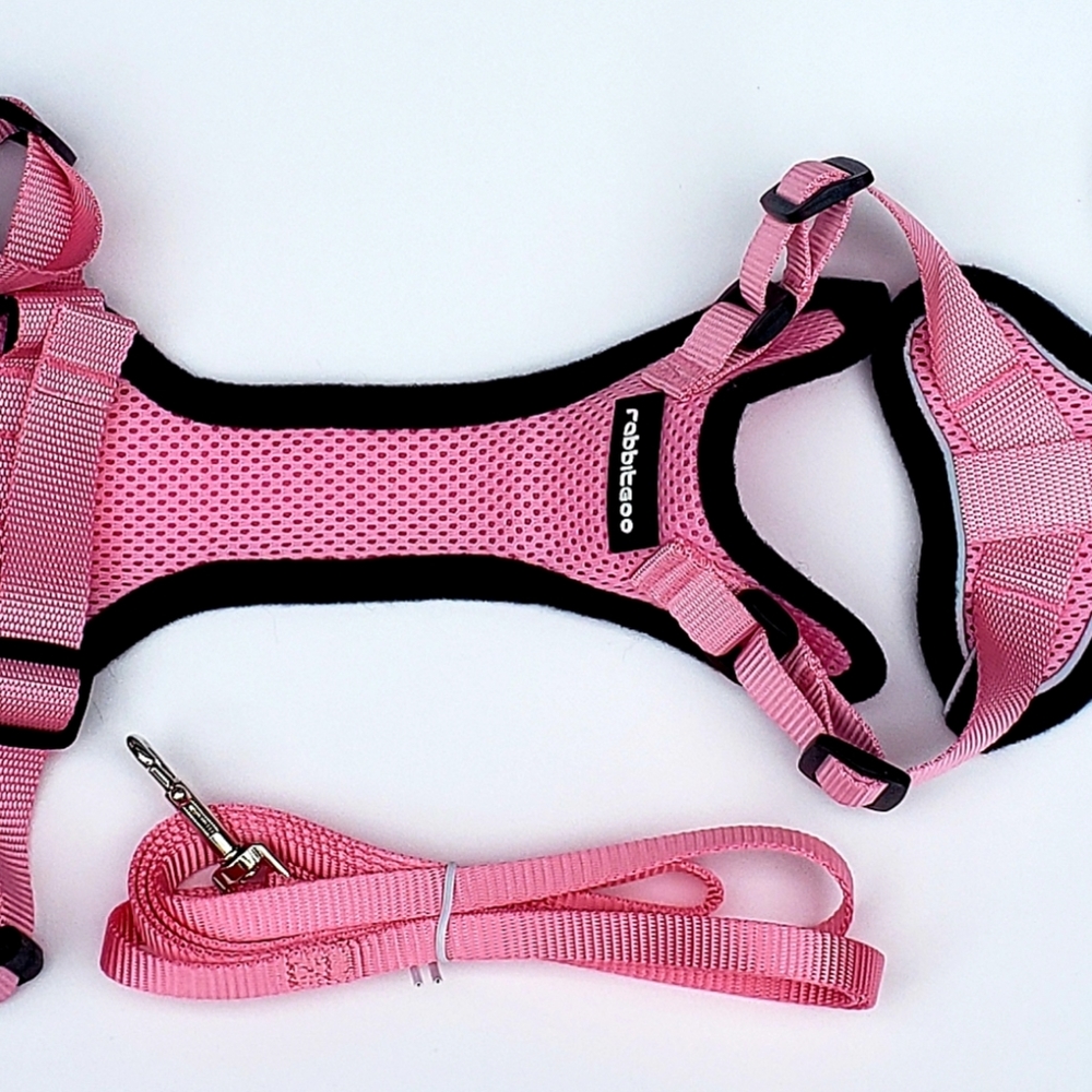 Rabbitgoo Small Dog Harness & Leash